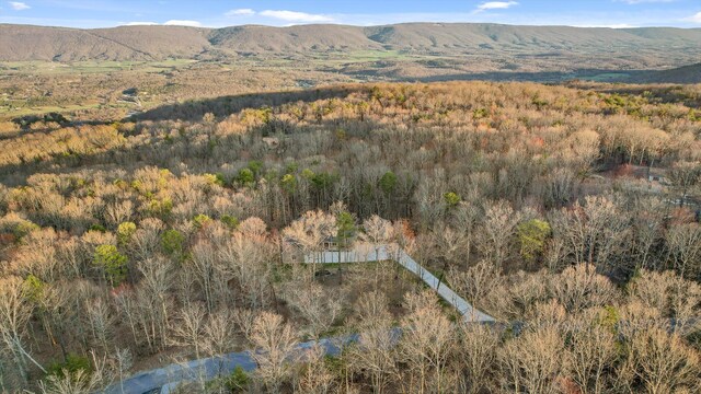 116 Twilight Trl, Dunlap, TN 37327 - photo 77