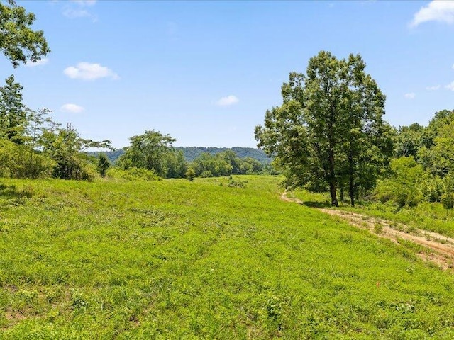 000 Cottonport Rd # 3, Dayton, TN 37321 - photo 12