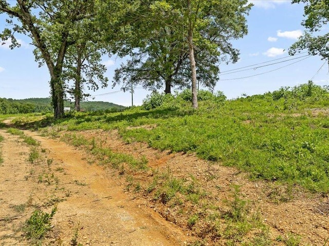 000 Cottonport Rd # 3, Dayton, TN 37321 - photo 26