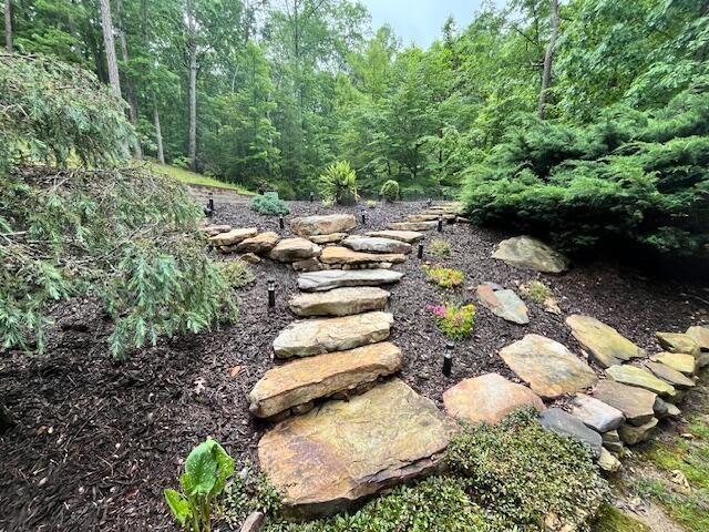 160 Tall Tree Trl, Dunlap, TN 37327 - view of yard with a wooded view
