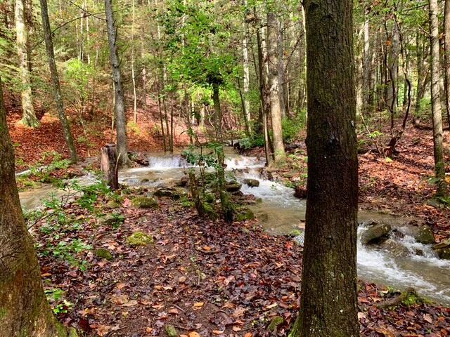160 Tall Tree Trl, Dunlap, TN 37327 - view of wooded area