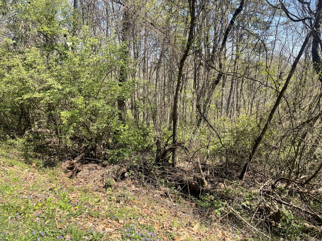 0 Georgia Ter, Rossville, GA 30741