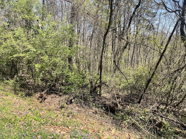 0 Georgia Ter, Rossville, GA 30741