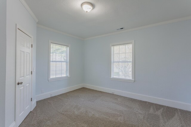 909 Stewart Ave, Chickamauga, GA 30707 - empty room with a wealth of natural light, carpet floors, ornamental molding, and baseboards