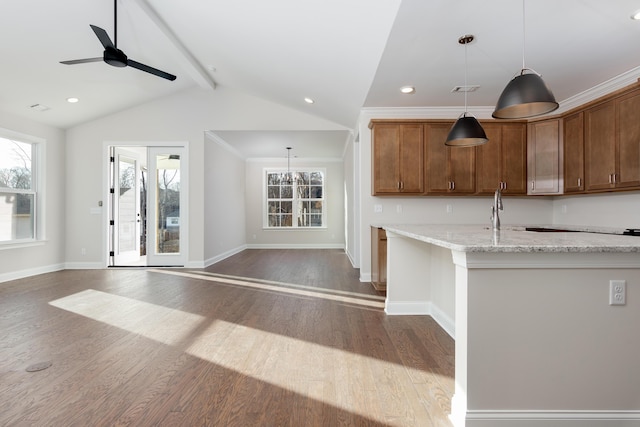 05 Nature Trl, Soddy Daisy, TN 37379 - kitchen featuring dark wood-style floors, plenty of natural light, decorative light fixtures, and recessed lighting