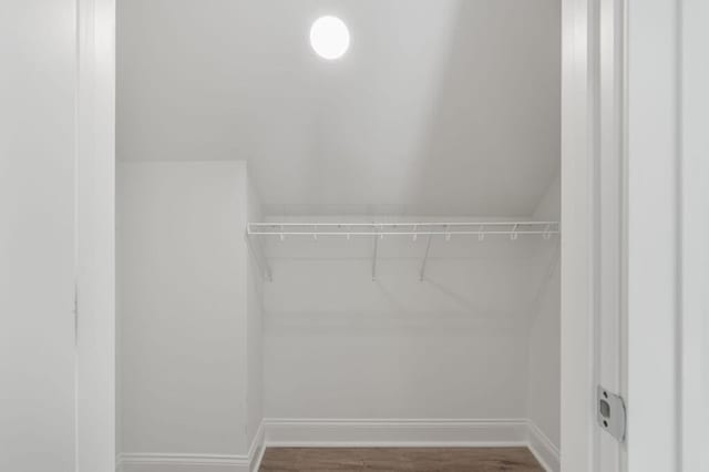 spacious closet with wood finished floors