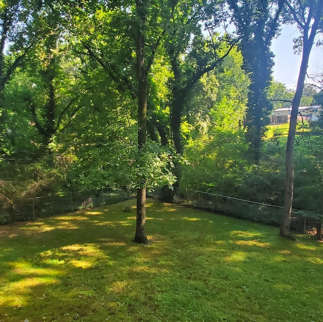 1603 Lisa Lynn Dr, Hixson, TN 37343 - view of yard