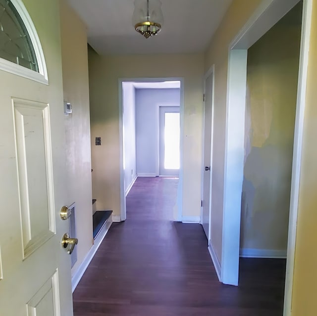 1603 Lisa Lynn Dr, Hixson, TN 37343 - hallway featuring wood finished floors and baseboards