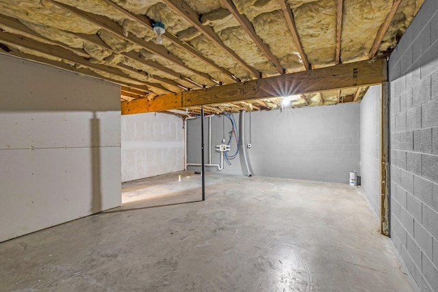 unfinished below grade area with concrete block wall
