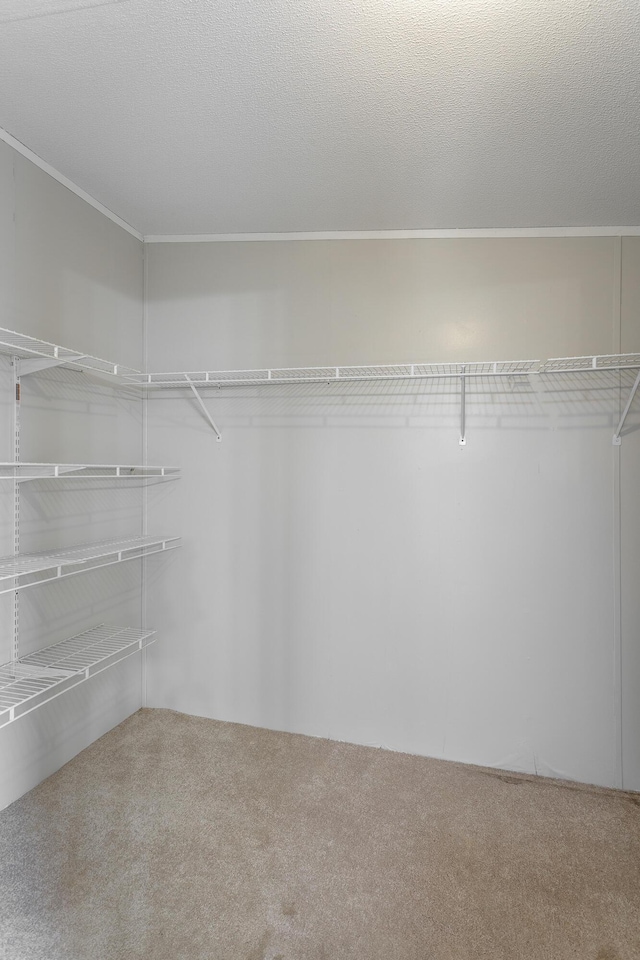 334 Bonavista Ln, Tunnel Hill, GA 30755 - photo 42