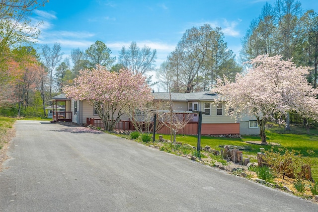334 Bonavista Ln, Tunnel Hill, GA 30755 - photo 9
