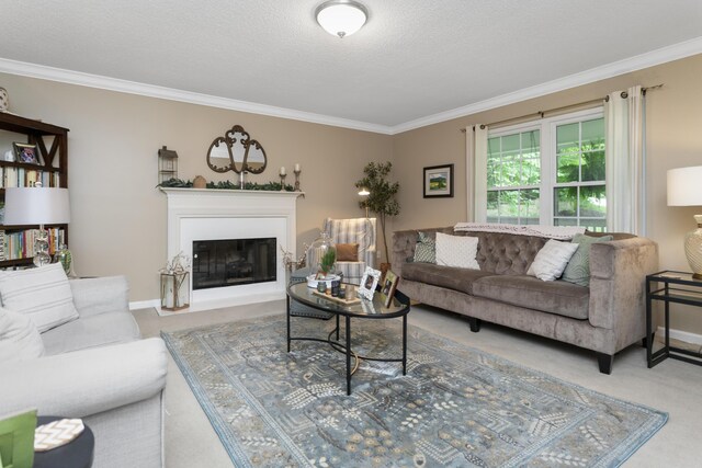 9215 Smokewood Trl, Chattanooga, TN 37421 - carpeted living room featuring ornamental molding and a fireplace with flush hearth