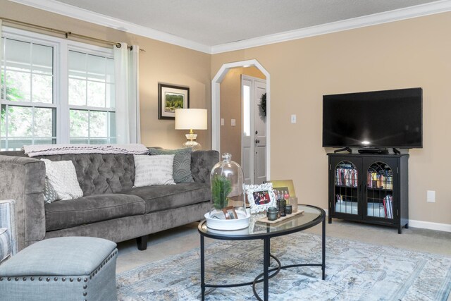 9215 Smokewood Trl, Chattanooga, TN 37421 - living area with ornamental molding, carpet flooring, and arched walkways