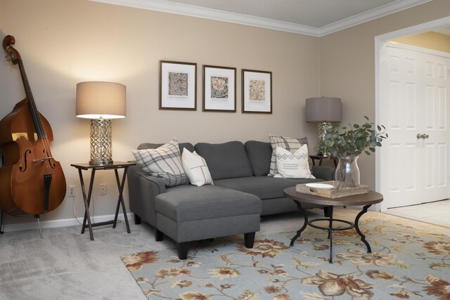 9215 Smokewood Trl, Chattanooga, TN 37421 - living room featuring crown molding and carpet floors