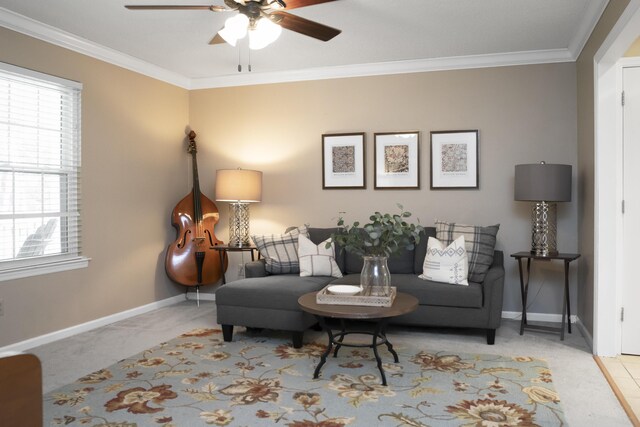 9215 Smokewood Trl, Chattanooga, TN 37421 - carpeted living room featuring ceiling fan, ornamental molding, and healthy amount of natural light