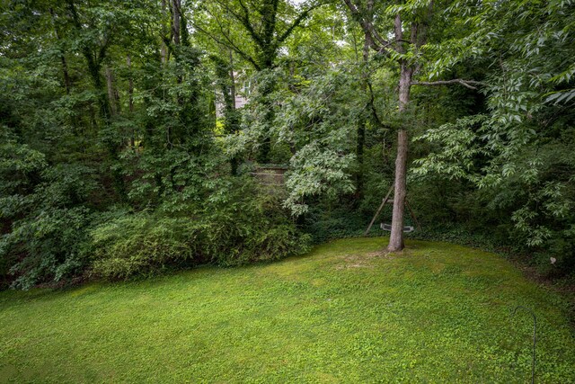 9215 Smokewood Trl, Chattanooga, TN 37421 - view of grassy yard featuring a wooded view