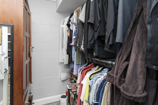 9215 Smokewood Trl, Chattanooga, TN 37421 - view of spacious closet