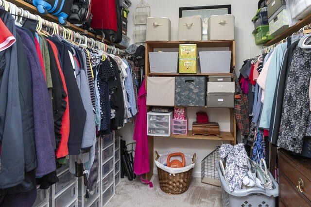 9215 Smokewood Trl, Chattanooga, TN 37421 - walk in closet featuring carpet flooring
