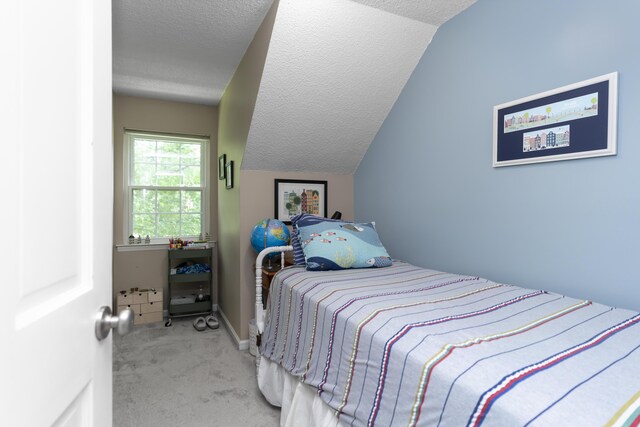 9215 Smokewood Trl, Chattanooga, TN 37421 - bedroom with carpet floors, lofted ceiling, and a textured ceiling