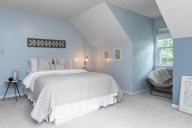 9215 Smokewood Trl, Chattanooga, TN 37421 - bedroom with carpet and vaulted ceiling