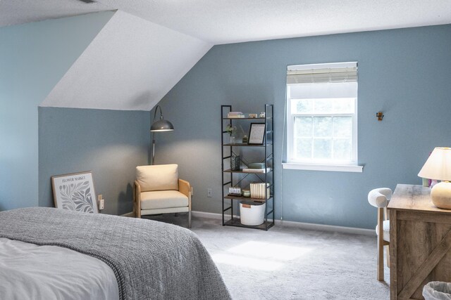 9215 Smokewood Trl, Chattanooga, TN 37421 - bedroom with carpet flooring and lofted ceiling