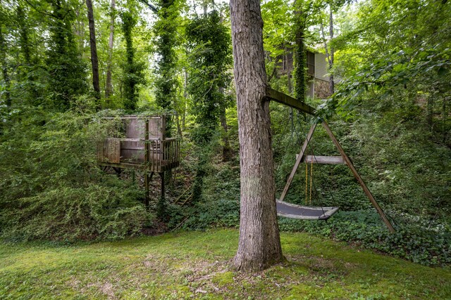 9215 Smokewood Trl, Chattanooga, TN 37421 - view of yard