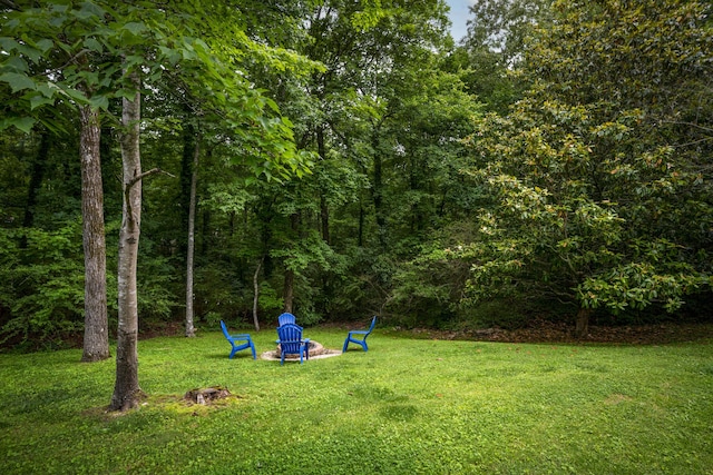 9215 Smokewood Trl, Chattanooga, TN 37421 - view of green lawn with a fire pit and a forest view