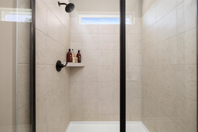 full bathroom featuring a shower stall
