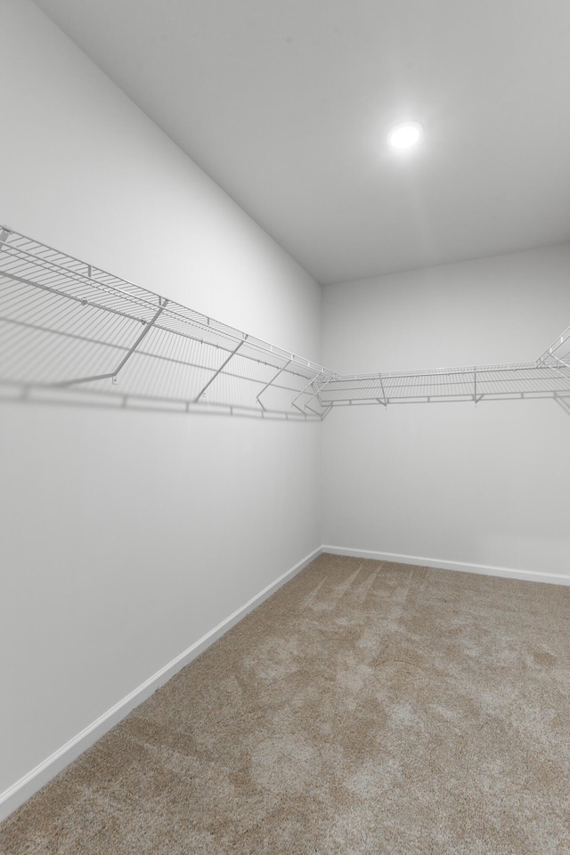 11304 Cape Vw, Soddy Daisy, TN 37379 - walk in closet with carpet