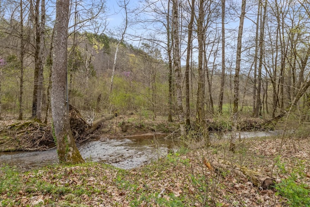 view of nature with a forest view
