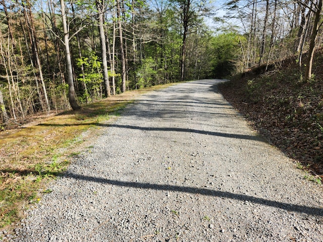 view of road featuring a view of trees