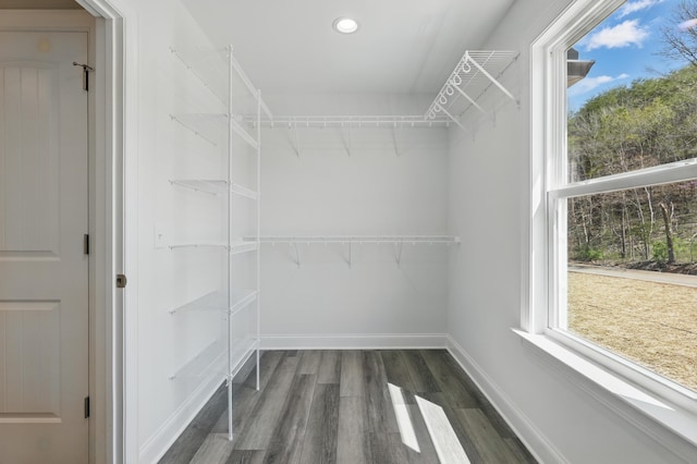 spacious closet featuring wood finished floors
