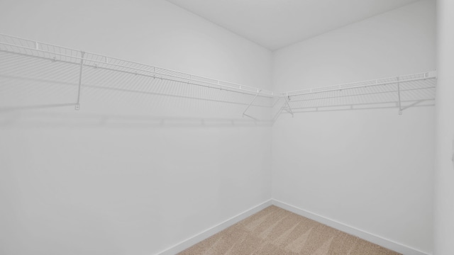 walk in closet featuring light colored carpet