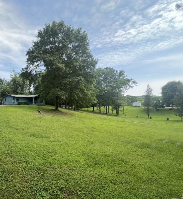 320 Oak View Ln, Dayton, TN 37321 - view of green lawn