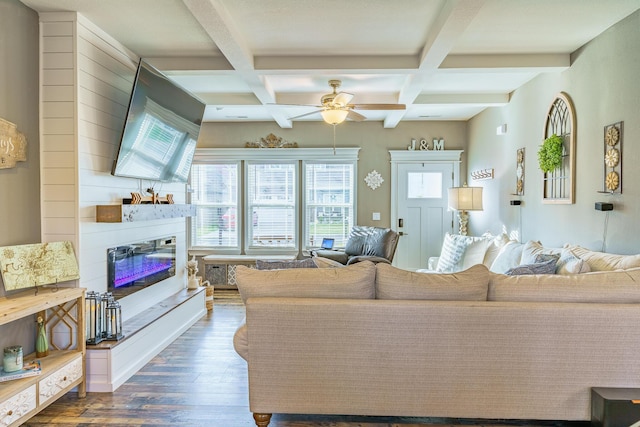 living room with healthy amount of natural light, coffered ceiling, a ceiling fan, dark wood-type flooring, and a glass covered fireplace