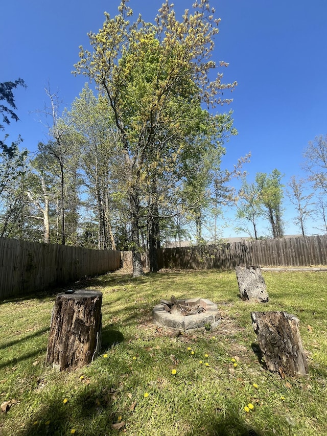 view of yard featuring a fire pit and a fenced backyard
