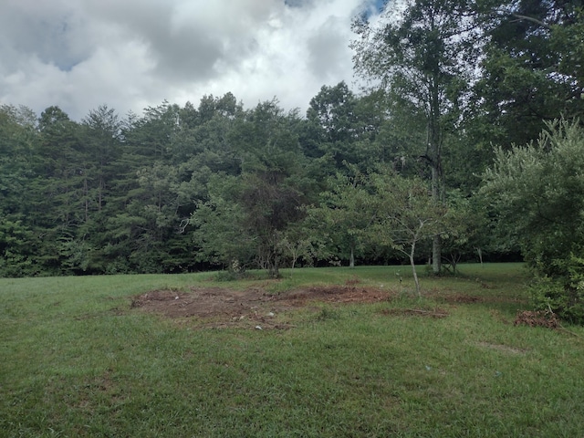 1036 Goforth Rd, Spencer, TN 38585 - photo 30