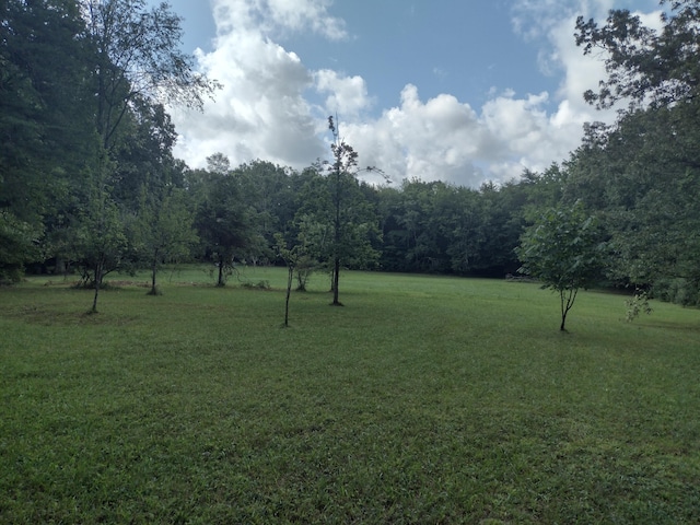 1036 Goforth Rd, Spencer, TN 38585 - photo 4