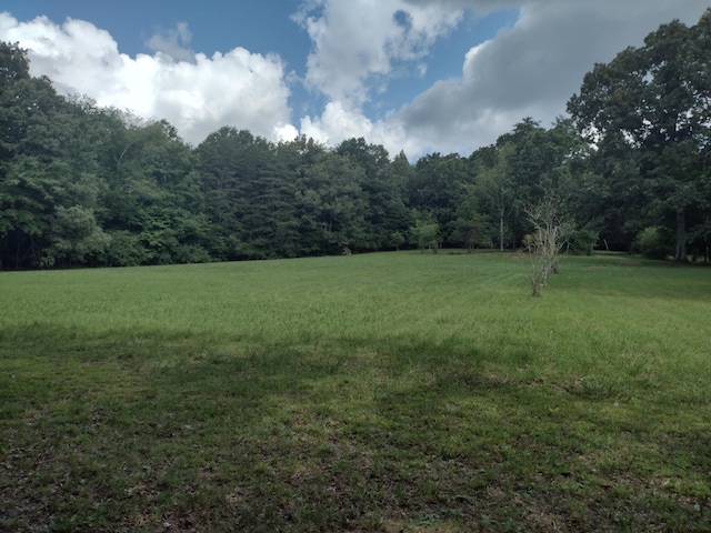 1036 Goforth Rd, Spencer, TN 38585 - photo 5