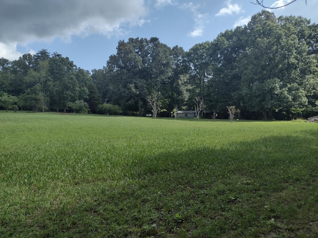 1036 Goforth Rd, Spencer, TN 38585 - photo 6