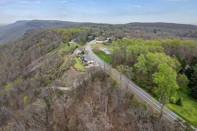 9597 Scenic Hwy, Lookout Mountain, GA 30750