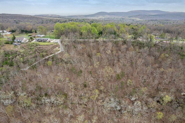 9597 Scenic Hwy, Lookout Mountain, GA 30750