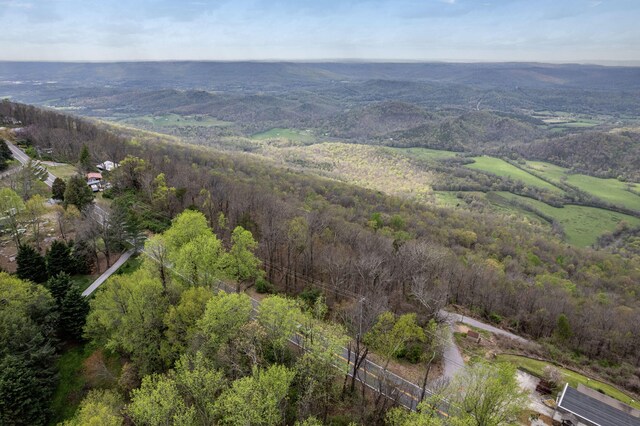 9597 Scenic Hwy, Lookout Mountain, GA 30750