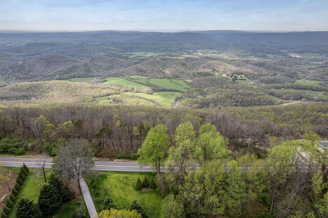9597 Scenic Hwy, Lookout Mountain, GA 30750