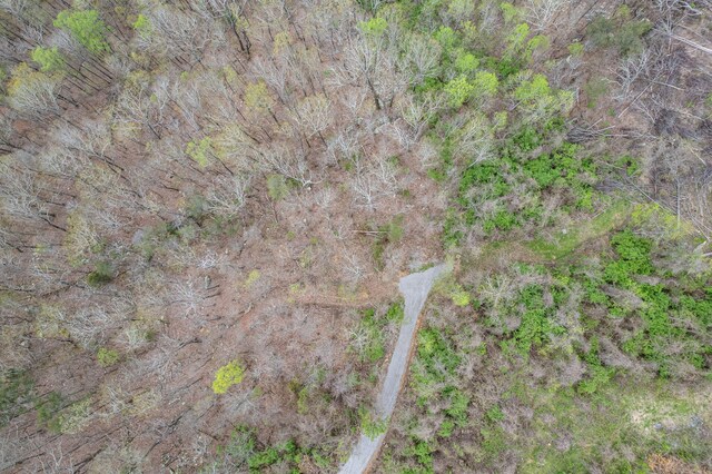 9597 Scenic Hwy, Lookout Mountain, GA 30750