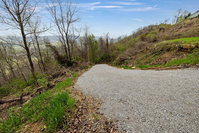 9597 Scenic Hwy, Lookout Mountain, GA 30750