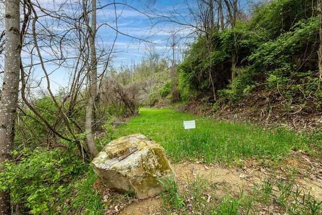 9597 Scenic Hwy, Lookout Mountain, GA 30750