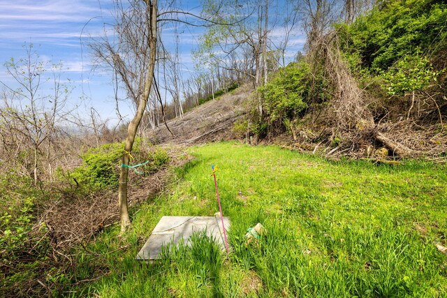 9597 Scenic Hwy, Lookout Mountain, GA 30750