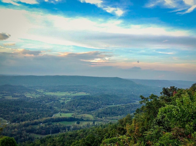 9597 Scenic Hwy, Lookout Mountain, GA 30750