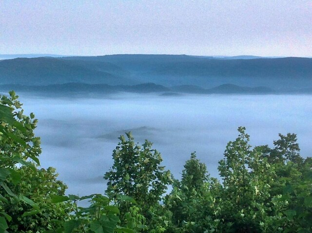 9597 Scenic Hwy, Lookout Mountain, GA 30750